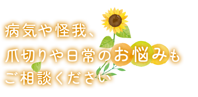 病気や怪我、爪切りや日常のお悩みもご相談ください